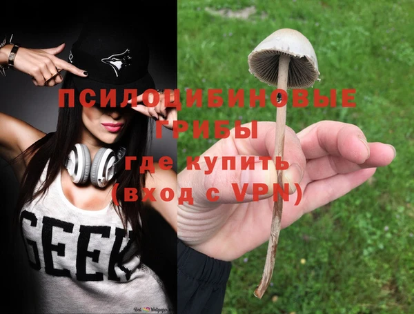 метадон Армянск
